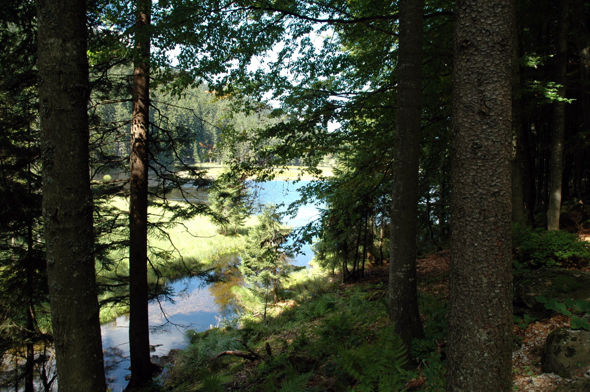 Kleiner Arbersee
