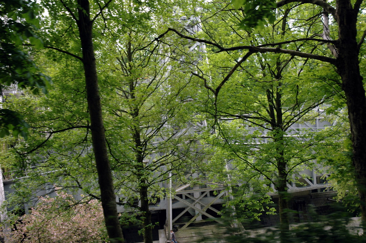 Verborgen tussen de bomen: lift Nr 2