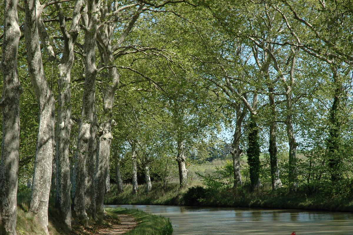 Le canal du Midi