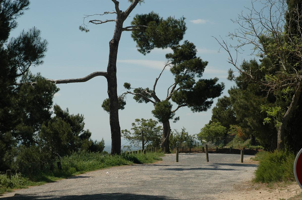 L'oppidum d'Enserune